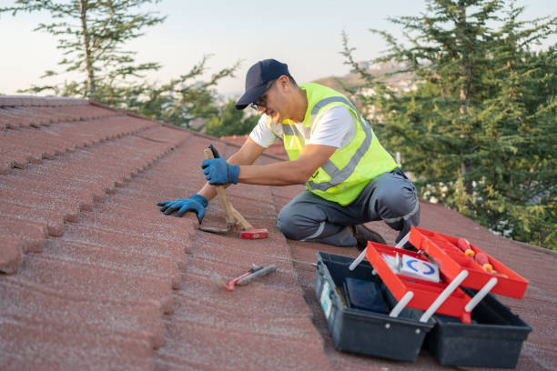 Professional Roofing Contractor in Griffin, GA